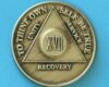 17 Year Bronze 17 Year Bronze Medallion